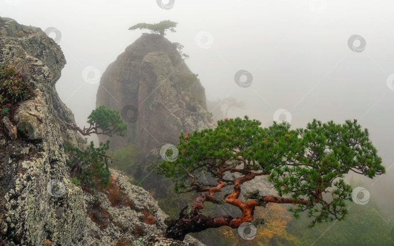 Скачать Горный пейзаж со скалами и стелющимся туманом. фотосток Ozero