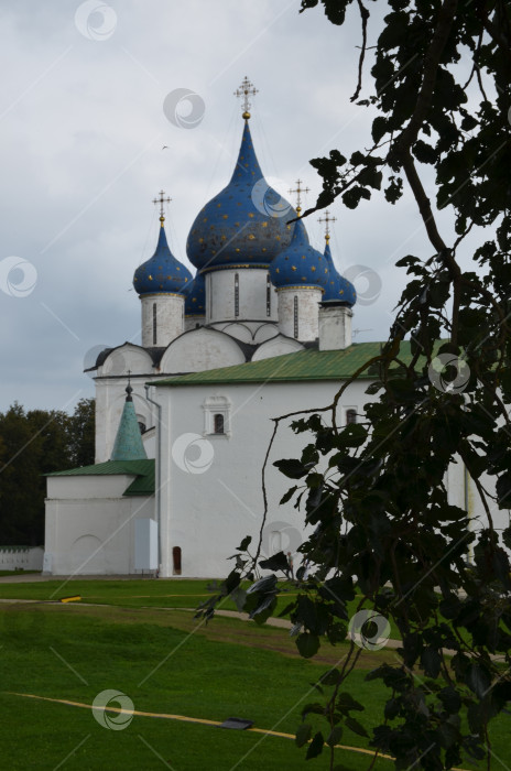 Скачать Рождественский собор (Собор Рождества Пресвятой Богородицы) Суздальского кремля – древнейшей части города Суздаль Владимирской области, входящего в Золотое кольцо России фотосток Ozero