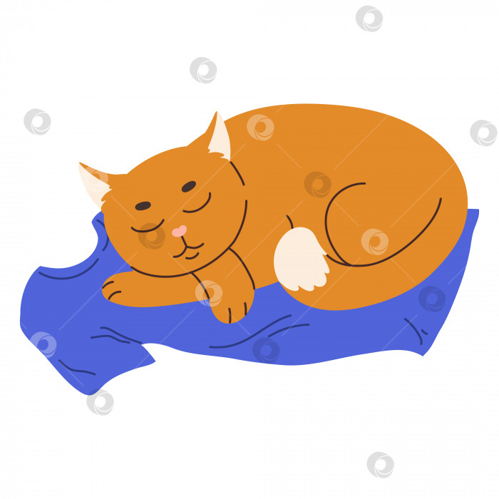 Скачать Симпатичный рыжий кот спит на футболке хозяина. Плоская векторная иллюстрация домашнего животного фотосток Ozero