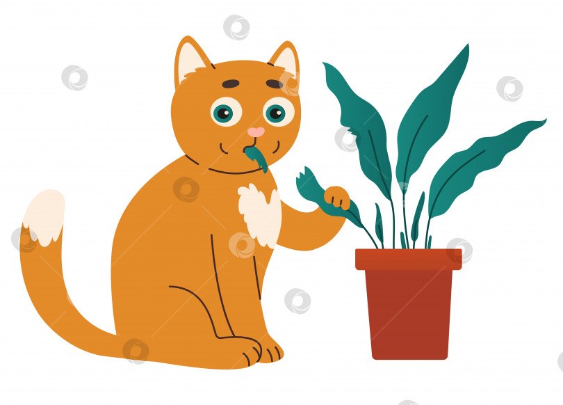 Скачать Симпатичный рыжий кот ест комнатное растение. Кошка держит лист во рту. Плоская векторная иллюстрация домашнего животного фотосток Ozero