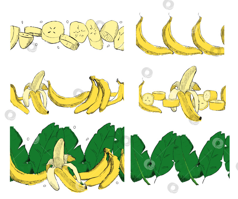 Скачать векторные рамки с бананами, ломтиками и тропическими листьями. Набор горизонтальных бесшовных рамок с рисунком. Векторная иллюстрация в графическом фотосток Ozero