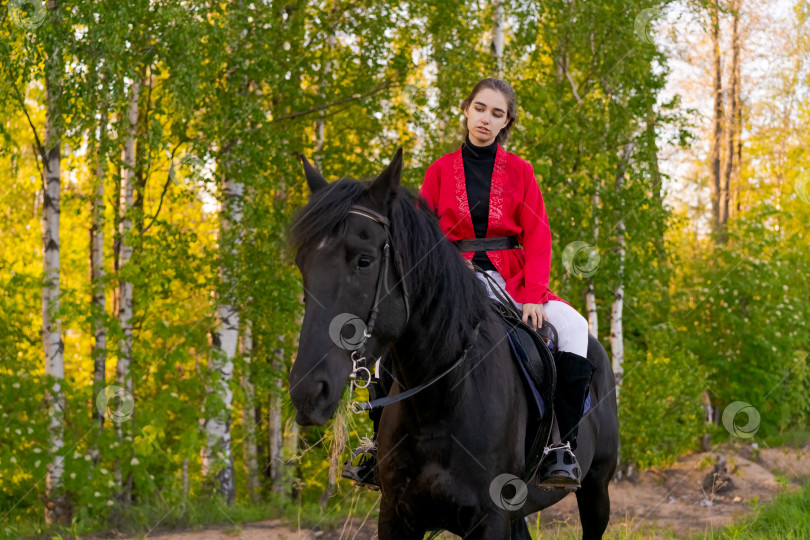 Скачать Женщина едет верхом на черном коне по лесу фотосток Ozero