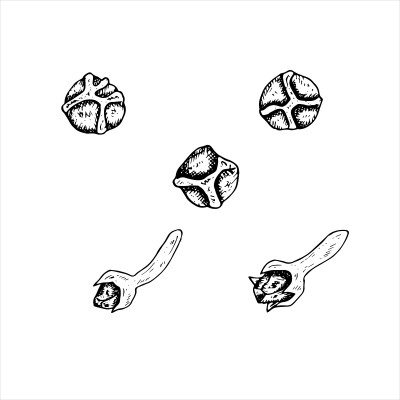 [object Object] undefined