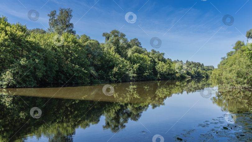 Скачать Спокойная река. По берегам растут заросли зеленых деревьев. фотосток Ozero