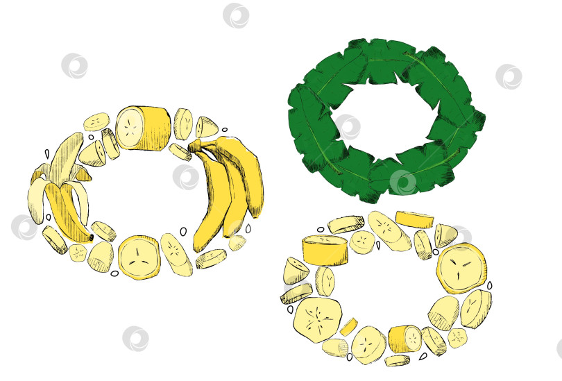 Скачать Набор округлых овальных тропических листьев и банановых рамок. Графический мультяшный дизайн, векторная иллюстрация фотосток Ozero
