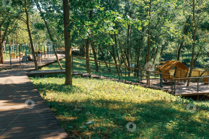 Скачать Деревянные дорожки в парке в летний день фотосток Ozero