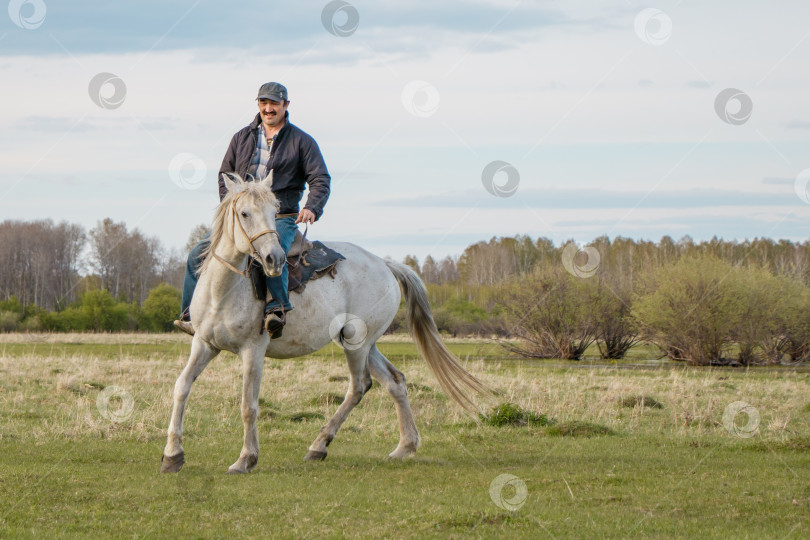 Скачать Всадник на белом коне скачет по пастбищу. фотосток Ozero