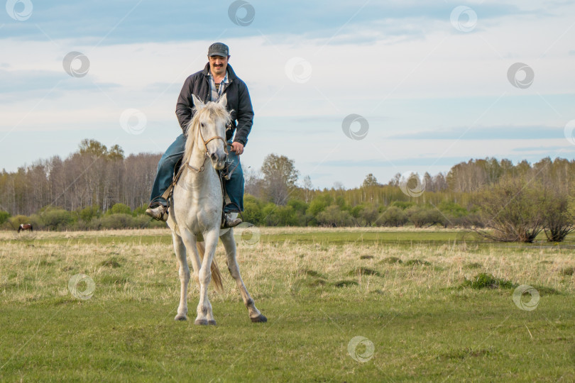 Скачать Всадник на белом коне скачет по пастбищу фотосток Ozero