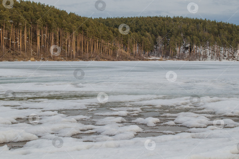 Скачать Весенний пейзаж. На реке растаял лед. фотосток Ozero