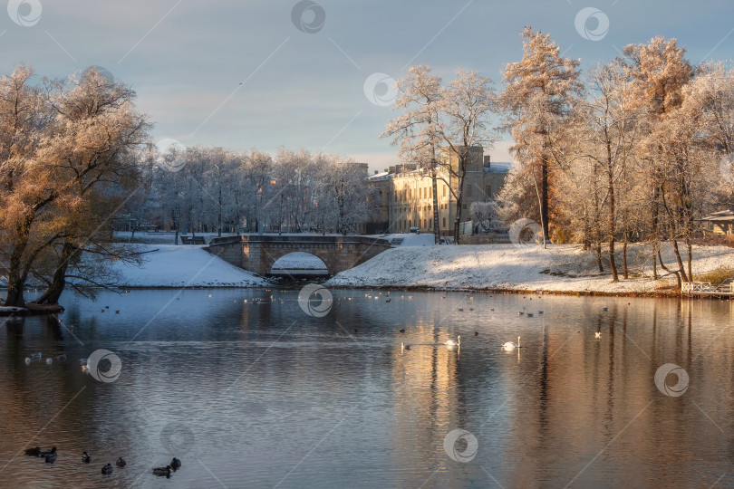 Скачать поздний осенний пейзаж с дворцом на берегу озера фотосток Ozero