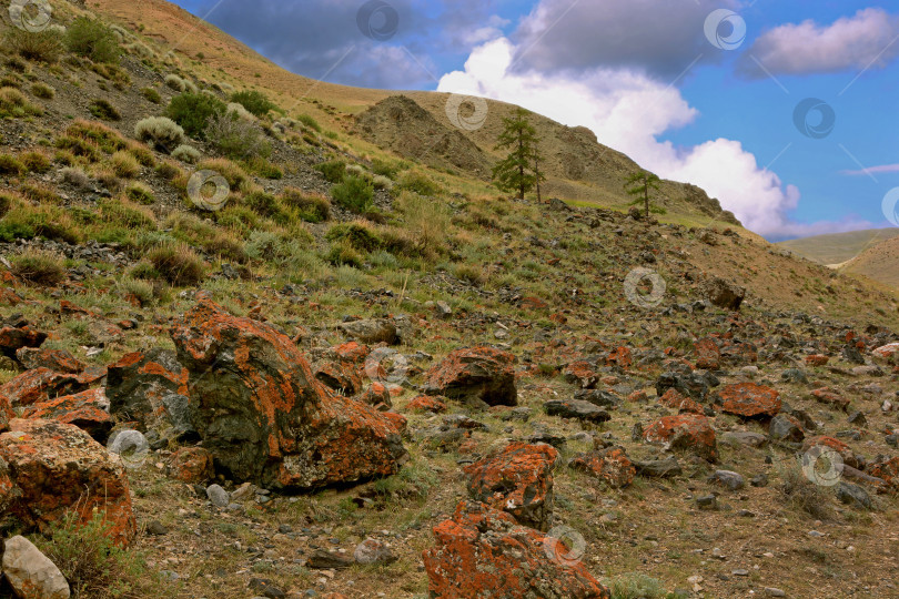 Скачать Камни на склоне Горного Алтая фотосток Ozero