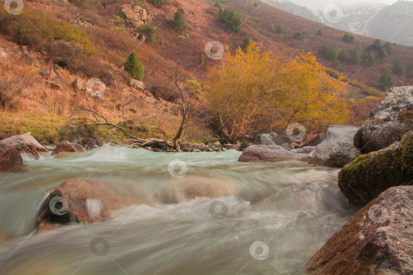 Скачать осенний пейзаж, горы, река и желтые деревья фотосток Ozero