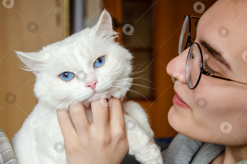 Скачать молодая женщина держит на руках белую кошку. Женщина играет со своим любимым домашним животным дома, крупный план фотосток Ozero