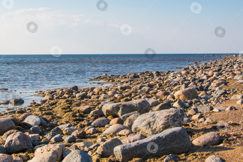 Скачать Скалистый берег в Кабли, Балтийское море, Эстония фотосток Ozero