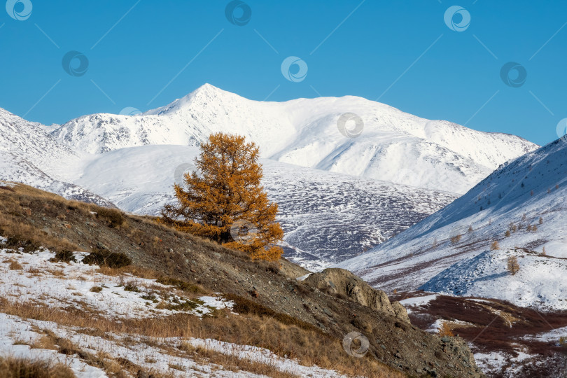 Скачать Предгорья поздней осенью и ранней зимой. фотосток Ozero