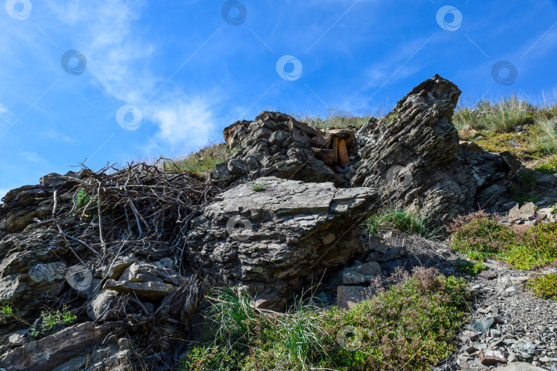 Скачать Горный берег Енисея фотосток Ozero