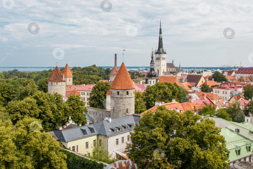 Скачать оранжевые крыши и шпили старого города. Таллинн, Эстония фотосток Ozero