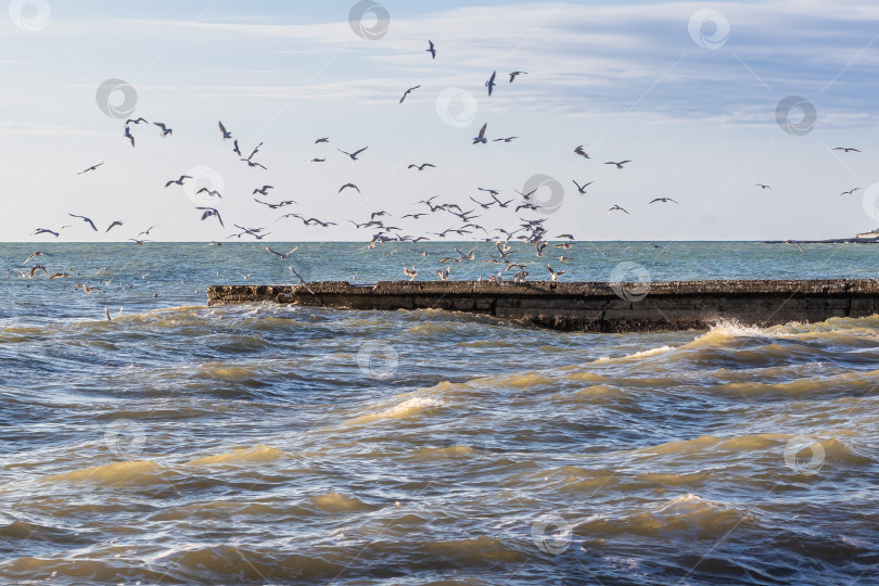 Скачать Зимний морской пейзаж. Неспокойное Черное море. фотосток Ozero