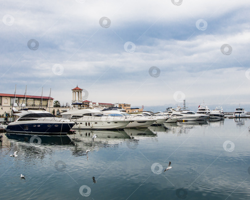 Скачать Морской порт в Сочи в пасмурный день. Вид на яхты с берега. фотосток Ozero