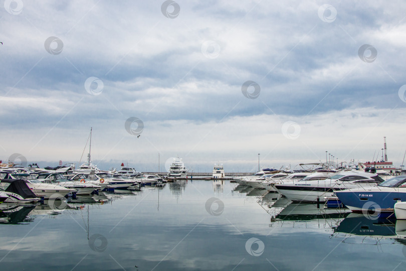 Скачать Яхты в морском порту Сочи в пасмурный день. фотосток Ozero