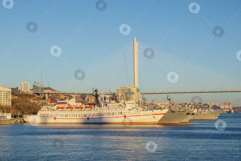 Скачать Вид на корабли и Золотой мост с морского вокзала Владивостока фотосток Ozero