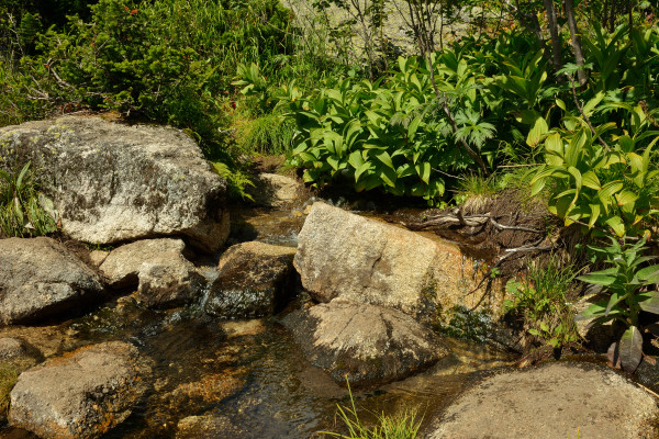 [object Object] undefined