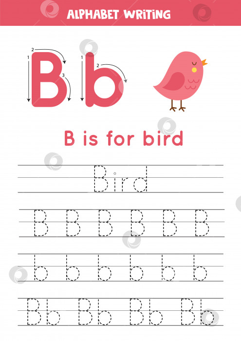 Скачать Учимся писать буквы для детей дошкольного возраста. "Б" означает "птица". фотосток Ozero