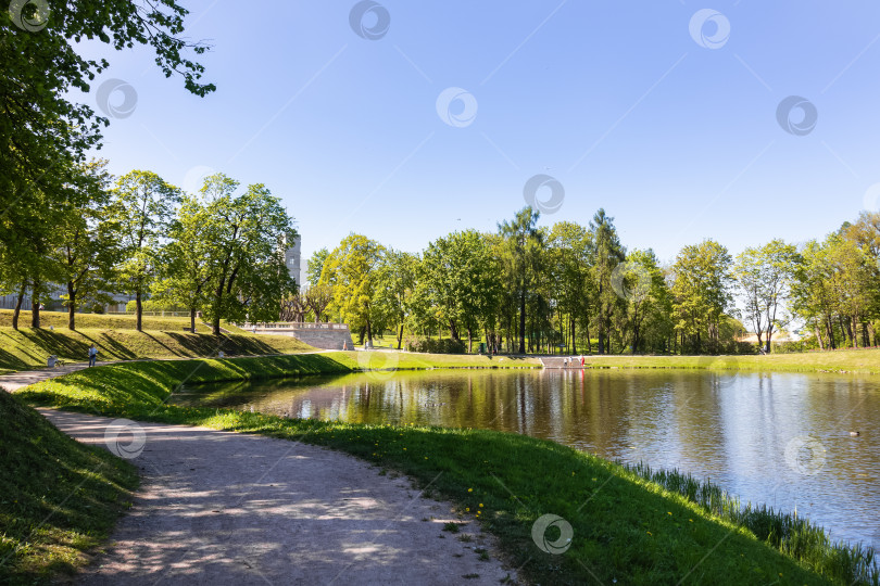 Скачать Водоём в парке среди зелёных деревьев фотосток Ozero