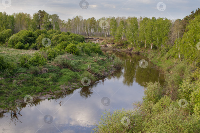 Скачать Вид на таежную сибирскую реку Вагай. Весенний пейзаж. фотосток Ozero