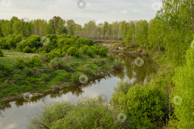 Скачать Вид на таежную сибирскую реку Вагай. Весенний пейзаж. фотосток Ozero