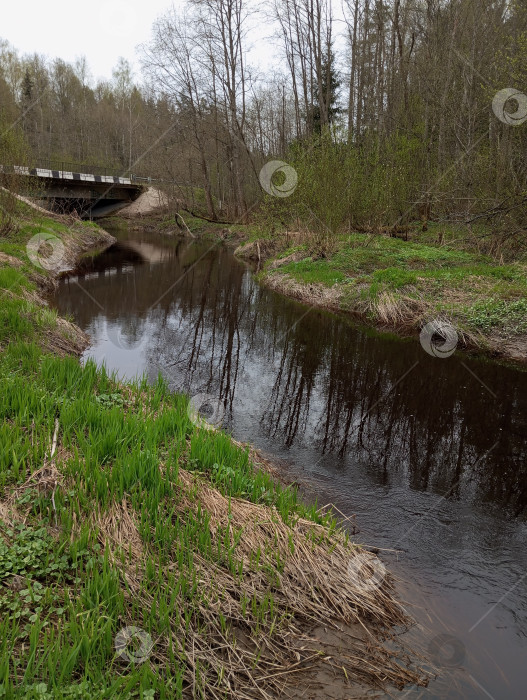 Скачать Река Войтоловка фотосток Ozero