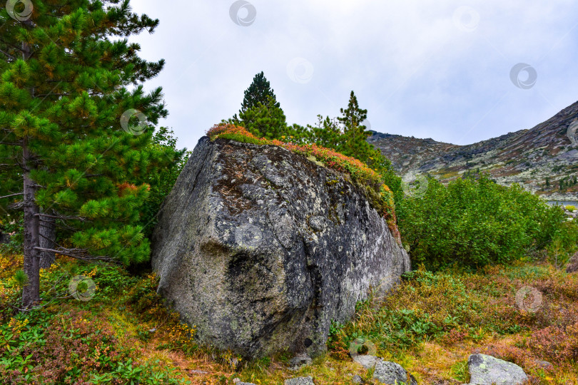 Скачать Природный парк Ергаки, мегалиты фотосток Ozero