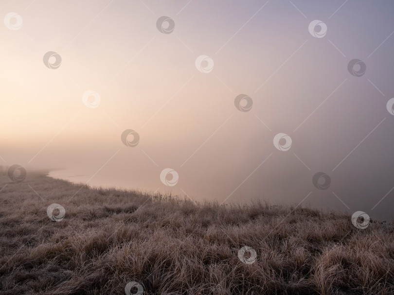 Скачать солнечный рассвет на болоте, густой туман фотосток Ozero