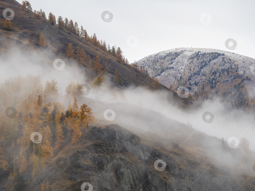 Скачать Призрачные осенние горы, скалы в густом тумане. фотосток Ozero