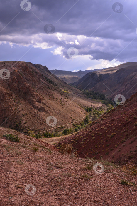 Скачать Марс фотосток Ozero