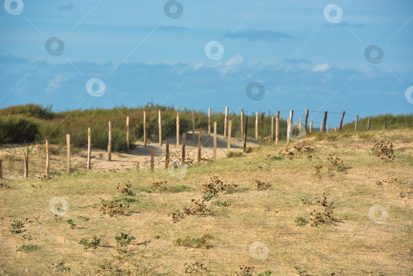 Скачать Деревянный забор на Атлантическом пляже во Франции фотосток Ozero