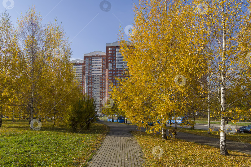 Скачать Золотая осень в Москве фотосток Ozero