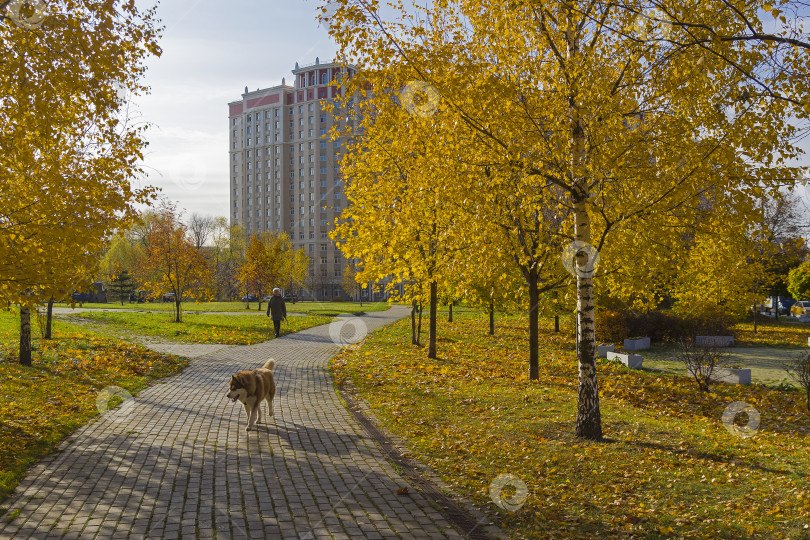 Скачать Золотая осень в Москве. фотосток Ozero