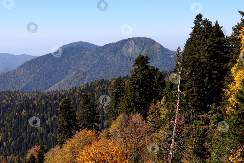 Скачать Осенние зарисовки фотосток Ozero