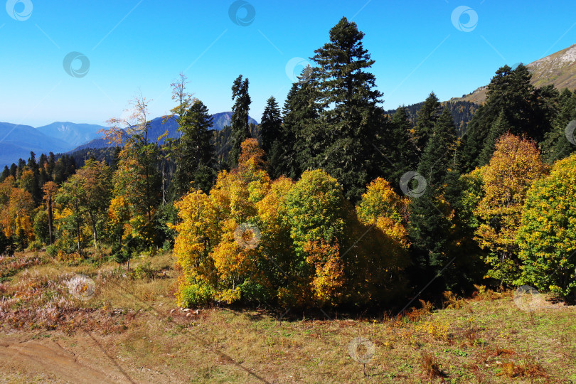 Скачать Осенние зарисовки фотосток Ozero