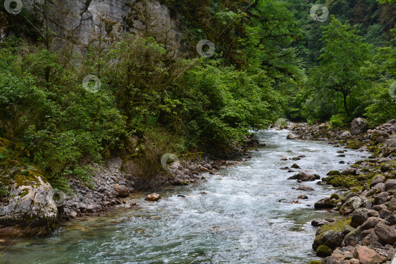 Скачать Русло горной реки фотосток Ozero