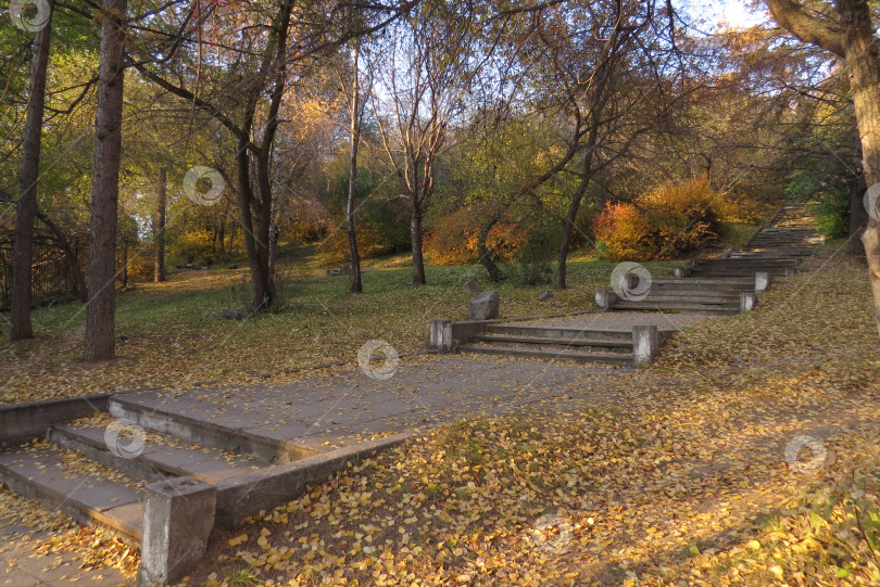 Скачать Осенний пейзаж в старом парке. фотосток Ozero