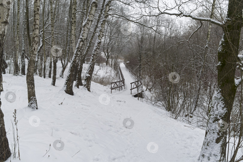 Скачать Зимний пейзаж с пешеходным мостиком на дне оврага. фотосток Ozero