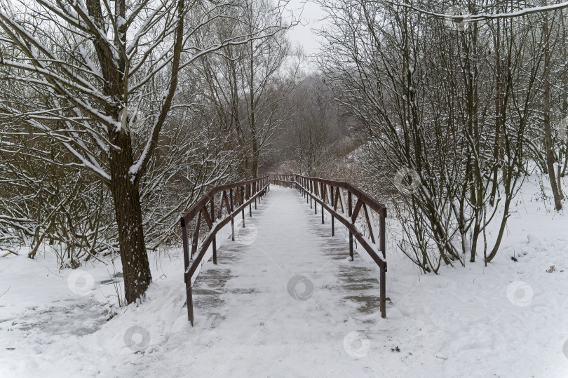 Скачать Зимний пейзаж с пешеходным мостиком на дне оврага. фотосток Ozero