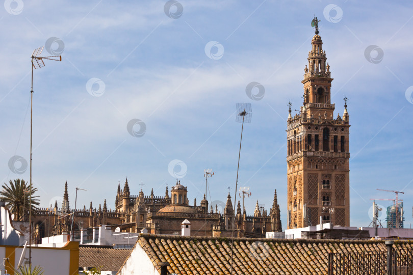 Скачать Кафедральный собор Севильи (Catedral de Santa María de la Sede), Испания фотосток Ozero