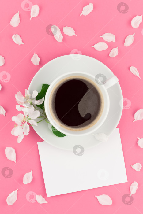 Скачать Плоская композиция из кофе, макета письма и белых лепестков фотосток Ozero