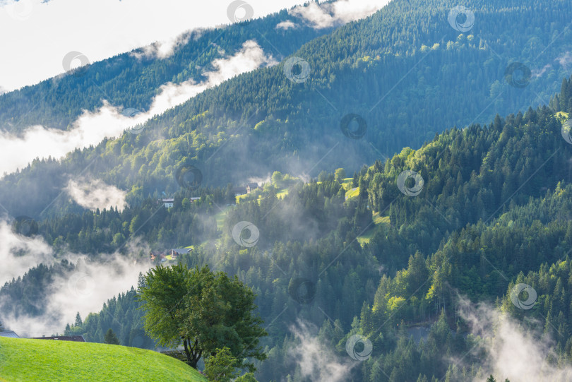 Скачать Зеленые лесистые горы туманным утром фотосток Ozero