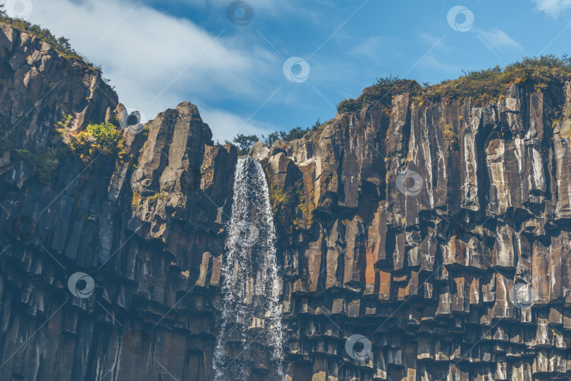 Скачать Водопад Свартифосс в Исландии фотосток Ozero