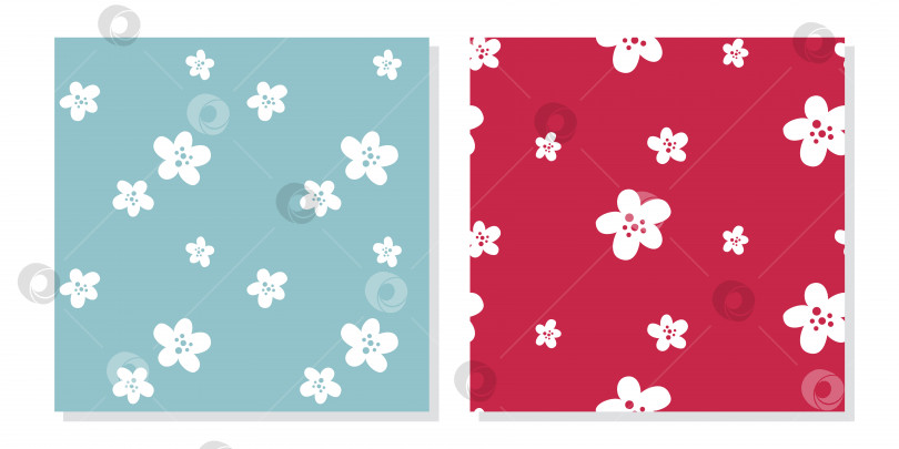 Скачать Набор из двух узоров с милыми простыми белыми цветами с малиновыми точками на синем и красном фоне фотосток Ozero