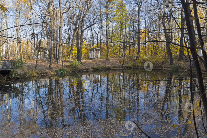 Скачать Пруд в осеннем лесопарке. фотосток Ozero